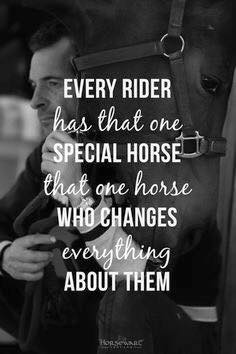 Famous Horse Quotes